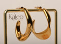 Golden Arc Earrings